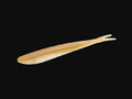 Silicone bait Mikado SAIRA 10,5 cm buy with delivery to the Netherlands and throughout Europe, price, photo