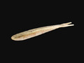 Silicone bait Mikado SAIRA 10,5 cm buy with delivery to the Netherlands and throughout Europe, price, photo
