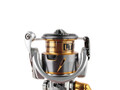 Reel Daiwa 21 FREAMS LT 3000-C buy with delivery to the Netherlands and throughout Europe, price, photo.