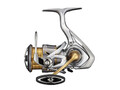 Reel Daiwa 21 Freams LT2500 buy with delivery to the Netherlands and throughout Europe, price, photo.