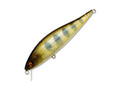 Wobbler Pontoon21 Bet-A-Minnow 78SP-SR 351 Natural Yamame YE buy with delivery to the Netherlands and throughout Europe, price, photo